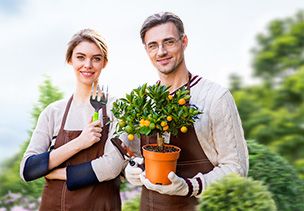 Проект «под ключ» где можно заказать по низкой цене  в Брянске