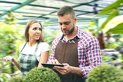 Дендроплан - верное планирование территории и решения этой задачи на уровне  в Брянске