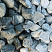 Kamenclub.ru: Щебень галтованный зеленый (змеевик) фр. 50-100 мм.  купить в Брянске галтовка мраморная зеленый, салатовый мрамор 12 500 руб/т   фото КАМЕНЬ КЛУБ