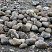 Kamenclub.ru: Речной валун (Ассорти) фр.100-300 мм.  купить в Брянске галечник серый, темно-серый, светло-серый речная галька крупных размеров 4200 руб/т   фото КАМЕНЬ КЛУБ