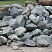 Kamenclub.ru: Гранит скальник (серо-зеленый) фр. 100-500 мм.  купить в Брянске гранит зеленый, серый, салатовый крупный ландшафтный валун 6 000 руб/т   фото КАМЕНЬ КЛУБ