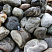 Kamenclub.ru: Речной валун Кабанчик фр.300-500 мм.  купить в Брянске крупный природный камень галька серый, темно-серый речной валун галечник масштабный 7000 руб/т   фото КАМЕНЬ КЛУБ