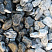 Kamenclub.ru: Щебень галтованный черный (мрамор) фр. 50-100 мм.  купить в Брянске мрамор черный с белыми прожилками щебень ландшафтный мраморный 15000 руб/т   фото КАМЕНЬ КЛУБ