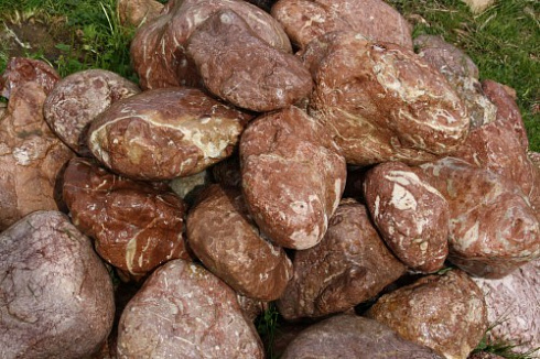 Kamenclub.ru: Розовый валунчик фр.100-300 мм.  купить в Брянске крупный природный камень розовый, серый молочный красный речной галечник природный 7850 руб/т   фото КАМЕНЬ КЛУБ