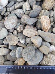 Kamenclub.ru: Галька речная окат (пестрая) фр. 20-40 мм. купить  в Брянске галька речная пестрая, серая, серые оттенки галька речная окатанная округлая 5000 руб/т   фото КАМЕНЬ КЛУБ