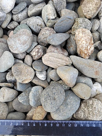 Kamenclub.ru: Галька речная окат (пестрая) фр. 20-40 мм. купить  в Брянске галька речная пестрая, серая, серые оттенки галька речная окатанная округлая 5000 руб/т   фото КАМЕНЬ КЛУБ