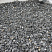 Kamenclub.ru: Щебень крошка черный (мрамор) фр. 10-20 мм.  купить в Брянске мрамор черный с белыми прожилками, черный, белый каменная ландшафтная декоративная крошка щебня 11000 руб/т   фото КАМЕНЬ КЛУБ