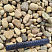Kamenclub.ru: Галька речная окат рыжая фр. 20-40 мм. купить  в Брянске галька речная окатанная рыжая желтая серая округлая речная галька 5000 руб/т   фото КАМЕНЬ КЛУБ