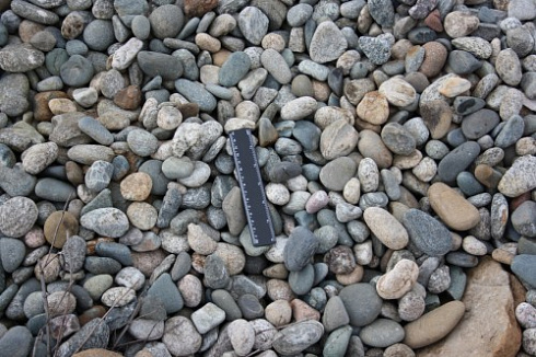 Kamenclub.ru: Галька речная окат (пестрая) фр. 20-40 мм. купить  в Брянске галька речная пестрая, серая, серые оттенки галька речная окатанная округлая 5000 руб/т   фото КАМЕНЬ КЛУБ