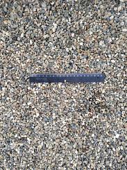 Kamenclub.ru: Галька речная окат (серая) фр.5-10 мм купить  в Брянске галька речная серая, серый, темно-серый, светло-серый, коричневый речная окатанная галька декоративная ландшатфная 5000 руб/т   фото КАМЕНЬ КЛУБ