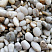 фото Галька крымская жемчужная фр. 10-20 мм. в интернет-портале КАМЕНЬ КЛУБ
