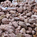 Kamenclub.ru: Розовый валунчик фр.100-300 мм.  купить в Брянске крупный природный камень розовый, серый молочный красный речной галечник природный 7850 руб/т   фото КАМЕНЬ КЛУБ