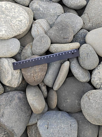 Kamenclub.ru: Галька речная плоская (серо-белая) фр. 70-120 мм. купить в Брянске галька галечник речной серый, белый окатанная плоская  природная галька 9000 руб/т   фото КАМЕНЬ КЛУБ