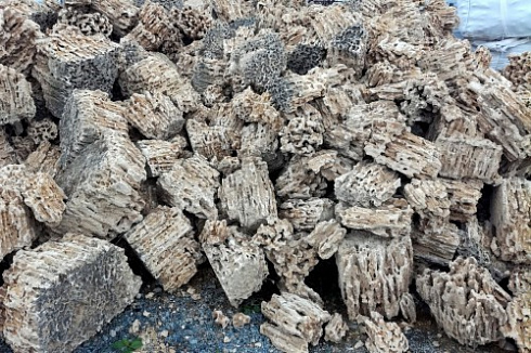 Kamenclub.ru: Крымский природный меотис фр. 100-500 мм.  купить в Брянске меотис бежевый рыжий молочный желтый ракушечник 4 500 руб/т   фото КАМЕНЬ КЛУБ