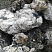 Kamenclub.ru: Черный гранит - кварцит фр. 100-500 мм.  купить в Брянске мрамор гранит черный с белыми прожилками, серый, белый валун скальный колотый 7000 руб/т   фото КАМЕНЬ КЛУБ