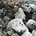 Kamenclub.ru: Черный гранит - кварцит фр. 100-500 мм.  купить в Брянске мрамор гранит черный с белыми прожилками, серый, белый валун скальный колотый 7000 руб/т   фото КАМЕНЬ КЛУБ
