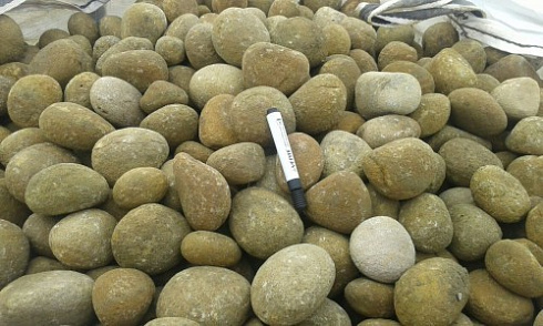 Kamenclub.ru: Песчаник ядра, фр. 100-300 мм  купить в Брянске песчаник бежевый серый рыжий речная галька 5 000 руб/т   фото КАМЕНЬ КЛУБ