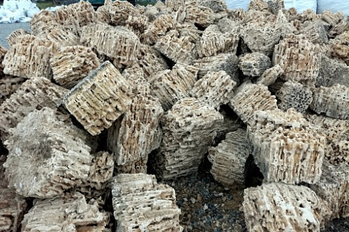 Kamenclub.ru: Крымский природный меотис фр. 100-500 мм.  купить в Брянске меотис бежевый рыжий молочный желтый ракушечник 4 500 руб/т   фото КАМЕНЬ КЛУБ