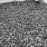 Kamenclub.ru: Щебень крошка черный (мрамор) фр. 20-40 мм.  купить в Брянске мрамор черный с белыми прожилками мраморная каменная крошка 11000 руб/т   фото КАМЕНЬ КЛУБ