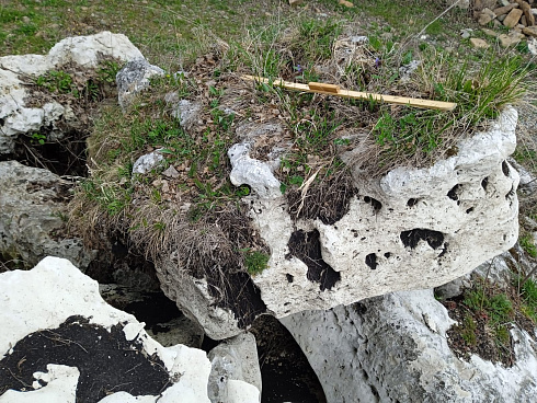 Kamenclub.ru: Выветренный известняк со мхом фр. 100-500 мм.  купить в Брянске известняк серый белый зеленый валун известняковый крупный 10000 руб/т   фото КАМЕНЬ КЛУБ