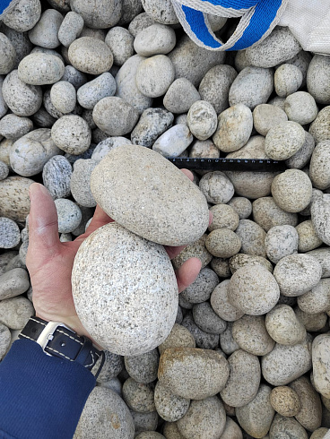 Kamenclub.ru: Галька речная окат (серо-белая) фр. 70-120 мм купить  в Брянске галька галечник бело-серая, серо-белая, серая, белая речная природная галька  8000 руб/т   фото КАМЕНЬ КЛУБ