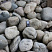 Kamenclub.ru: Темно-серый валунчик фр.100-300 мм.  купить в Брянске крупный природный камень серый, темно-серый, светло-серый речная галька большого размера окатанная 4500 руб/т   фото КАМЕНЬ КЛУБ