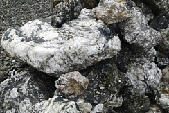 Kamenclub.ru: Черный гранит - кварцит фр. 500-1000 мм.  купить в Брянске гранит кварцит черный серый белый скальный колотый валун 9750 руб/т   фото КАМЕНЬ КЛУБ