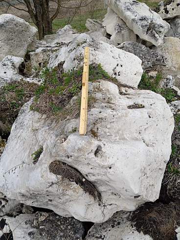 Kamenclub.ru: Выветренный известняк (степной) фр. 500-1500 мм.  купить в Брянске    10000 руб/т   фото КАМЕНЬ КЛУБ