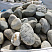 Kamenclub.ru: Речной валун (Ассорти) фр.100-300 мм.  купить в Брянске галечник серый, темно-серый, светло-серый речная галька крупных размеров 4200 руб/т   фото КАМЕНЬ КЛУБ