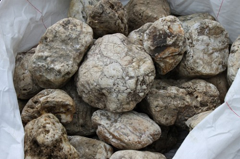 Kamenclub.ru: Кварцевый валунчик фр.100-300 мм.  купить в Брянске кварц белый, бежевый молочный рыжий крупный природный камень галечник 7850 руб/т   фото КАМЕНЬ КЛУБ