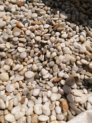 Галька Крымская Жемчужина фр. 10-20 мм.  купить в Брянске фото Камень Клуб