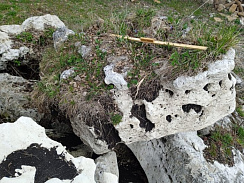 Kamenclub.ru: Выветренный известняк (степной) фр. 500-1500 мм.  купить в Брянске    10000 руб/т   фото КАМЕНЬ КЛУБ