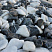 Kamenclub.ru: Мраморная крошка (щебень галтованный микс:: белый-черный) фр.20-40 мм  купить в Брянске мрамор белый, черный мраморный галтованный щебень 15500 руб/т   фото КАМЕНЬ КЛУБ