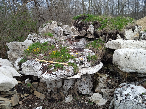 Kamenclub.ru: Выветренный известняк со мхом фр. 100-500 мм.  купить в Брянске известняк серый белый зеленый валун известняковый крупный 10000 руб/т   фото КАМЕНЬ КЛУБ