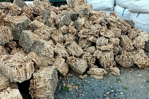 Kamenclub.ru: Крымский природный меотис фр. 100-500 мм.  купить в Брянске меотис бежевый рыжий молочный желтый ракушечник 4 500 руб/т   фото КАМЕНЬ КЛУБ