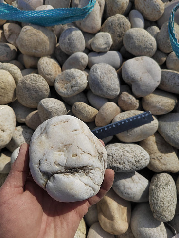 Kamenclub.ru: Галька речная окат (серо-белая) фр. 70-120 мм купить  в Брянске галька галечник бело-серая, серо-белая, серая, белая речная природная галька  8000 руб/т   фото КАМЕНЬ КЛУБ