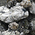 Kamenclub.ru: Черный гранит - кварцит фр. 100-500 мм.  купить в Брянске мрамор гранит черный с белыми прожилками, серый, белый валун скальный колотый 7000 руб/т   фото КАМЕНЬ КЛУБ