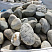 Kamenclub.ru: Речной валун (Ассорти) фр.100-300 мм.  купить в Брянске галечник серый, темно-серый, светло-серый речная галька крупных размеров 4200 руб/т   фото КАМЕНЬ КЛУБ