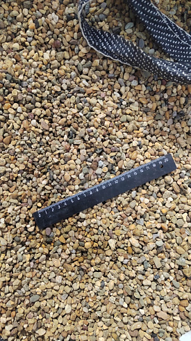 Kamenclub.ru: Галька окат (серо-желтая) фр.5-10 мм. купить  в Брянске галька речная рыжий, желтый, рыжий, серо-желтый речная окатанная галька декоративная 5000 руб/т   фото КАМЕНЬ КЛУБ