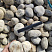 Kamenclub.ru: Галька речная окат (серо-белая) фр. 70-120 мм купить  в Брянске галька галечник бело-серая, серо-белая, серая, белая речная природная галька  8000 руб/т   фото КАМЕНЬ КЛУБ