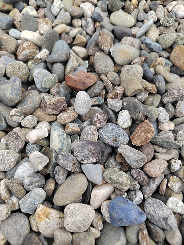 Kamenclub.ru: Галька речная окат (серая) фр.10-20 мм купить  в Брянске галька речная серая, серый, темно-серый, светло-серый, коричневый ландшафтная декоративная речная окатанная округлая галька 5000 руб/т   фото КАМЕНЬ КЛУБ