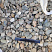 Kamenclub.ru: Галька речная окат (пестрая) фр. 20-40 мм. купить  в Брянске галька речная пестрая, серая, серые оттенки галька речная окатанная округлая 5000 руб/т   фото КАМЕНЬ КЛУБ