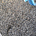 Kamenclub.ru: Галька речная окат (серая) фр.3-5 мм купить  в Брянске галька речная серая бежевый темно-серый окатанный речной камень округлый 9500 руб/т   фото КАМЕНЬ КЛУБ