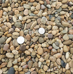Kamenclub.ru: Галька окат (серо-желтая) фр.10-20 мм. купить  в Брянске галька серо-желтая, рыжая, серый речная окатанная округлая галька 5000 руб/т   фото КАМЕНЬ КЛУБ