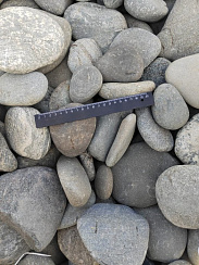 Kamenclub.ru: Галька речная плоская (ассорти) фр. 70-150 мм. купить в Брянске галька галечник серый белый темно-серый синий светло-серый плоская природная галька  9000 руб/т   фото КАМЕНЬ КЛУБ