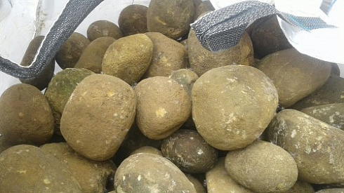 Kamenclub.ru: Песчаник ядра, фр. 100-300 мм  купить в Брянске песчаник бежевый серый рыжий речная галька 5 000 руб/т   фото КАМЕНЬ КЛУБ