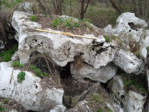 Kamenclub.ru: Выветренный известняк со мхом фр. 100-500 мм.  купить в Брянске известняк серый белый зеленый валун известняковый крупный 10000 руб/т   фото КАМЕНЬ КЛУБ