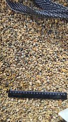 Kamenclub.ru: Галька окат (серо-желтая) фр.5-10 мм. купить  в Брянске галька речная рыжий, желтый, рыжий, серо-желтый речная окатанная галька декоративная 5000 руб/т   фото КАМЕНЬ КЛУБ