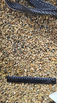 Kamenclub.ru: Галька окат (серо-желтая) фр.5-10 мм. купить  в Брянске галька речная рыжий, желтый, рыжий, серо-желтый речная окатанная галька декоративная 5000 руб/т   фото КАМЕНЬ КЛУБ