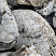 Kamenclub.ru: Кварцевый валунчик фр.100-300 мм.  купить в Брянске кварц белый, бежевый молочный рыжий крупный природный камень галечник 7850 руб/т   фото КАМЕНЬ КЛУБ